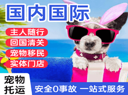 大理凤仪机场空运国际宠物托运 【国